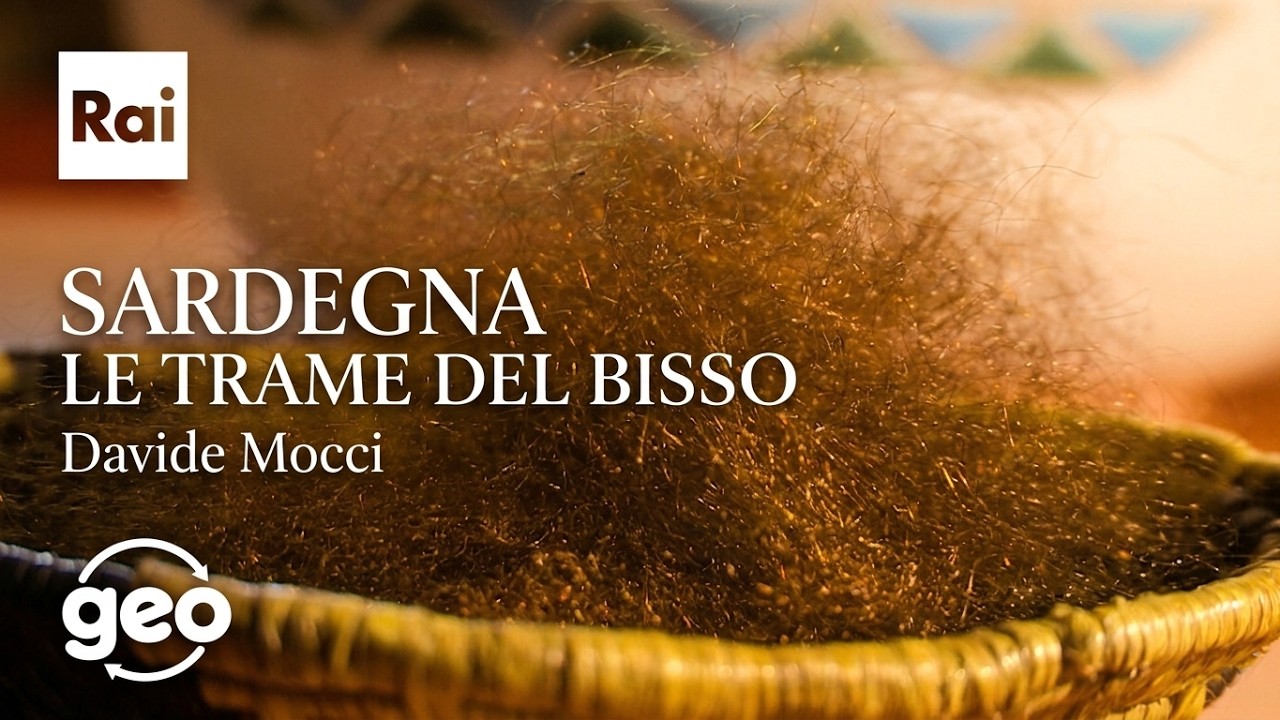 IL BISSO LA SETA DEL MARE di Davide Mocci DOC RAI GEO - SARDEGNA immagini subacquee Pinna Nobilis