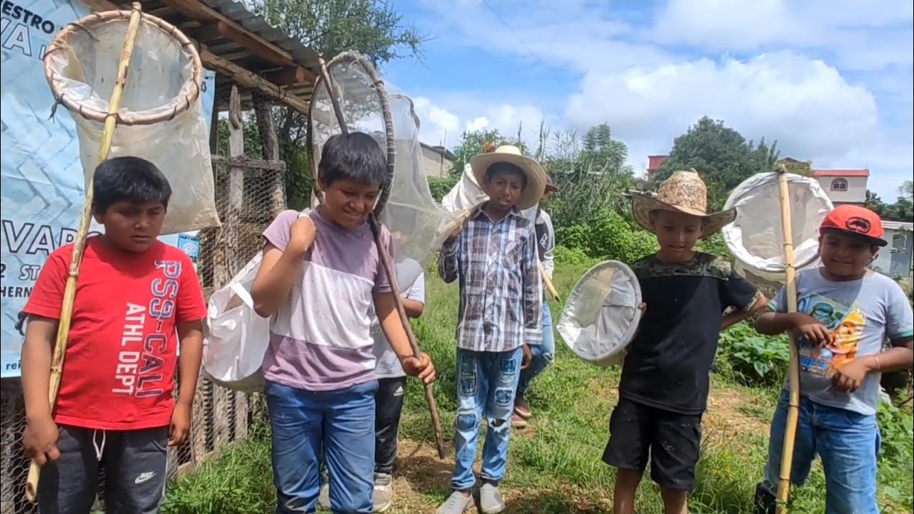 «Мы продаём кузнечиков, чтобы помочь нашим мамам 🤠»