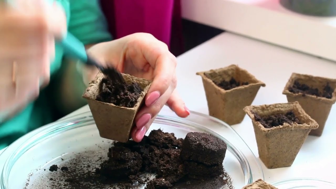 Winter Gardening Challenges Solved 🌿❄️#WinterGardening #PlantCareTips #IndoorGardening