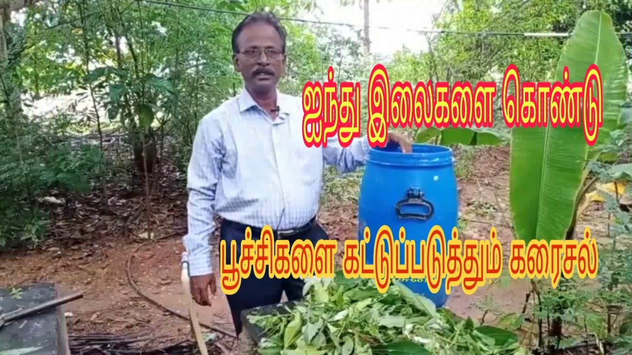 ஐந்து இலைகளை கொண்டு பூச்சிகளை கட்டுப்படுத்தும் வழிமுறை