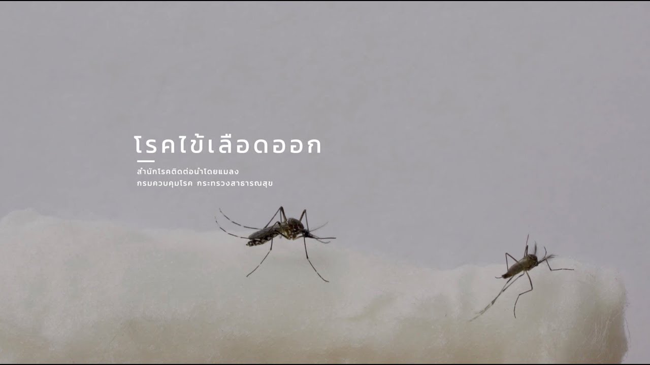 โรคไข้เลือดออก