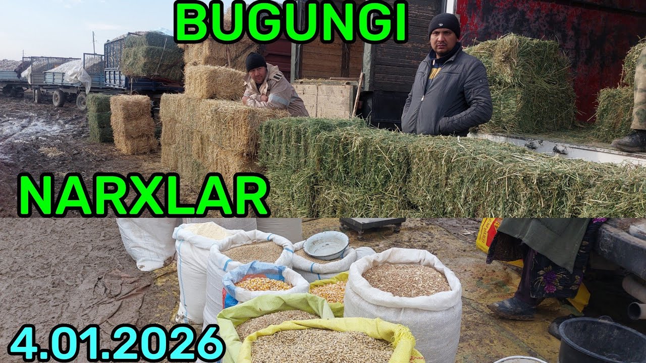 4.01.2026 EM XASHAK CHANG'ALOQ SOMON BEDA PRESS NARXLARI QARSHI KARVON MOL BOZORI YONIDA 