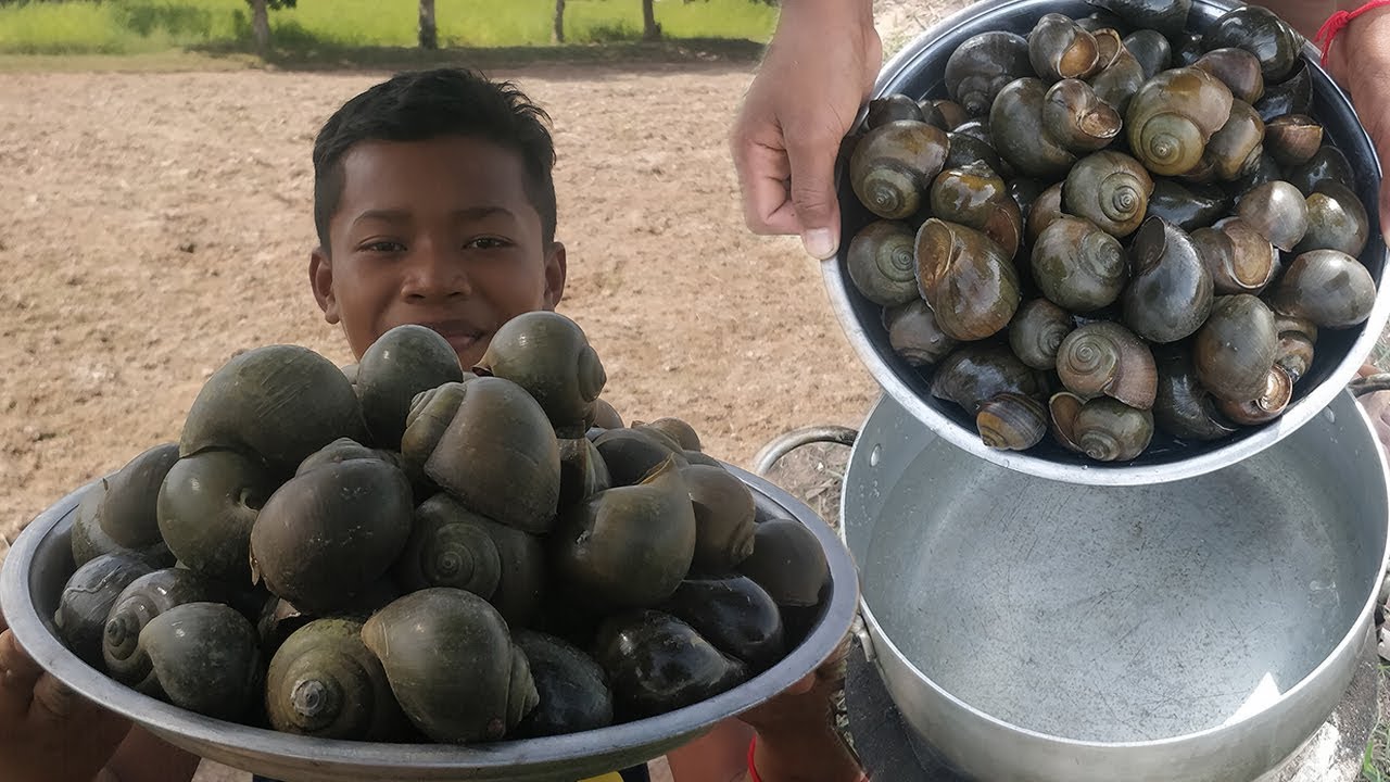 Delicious Cooking Field Snail Recipe / Snail Stir Fry / Kdeb Cooking