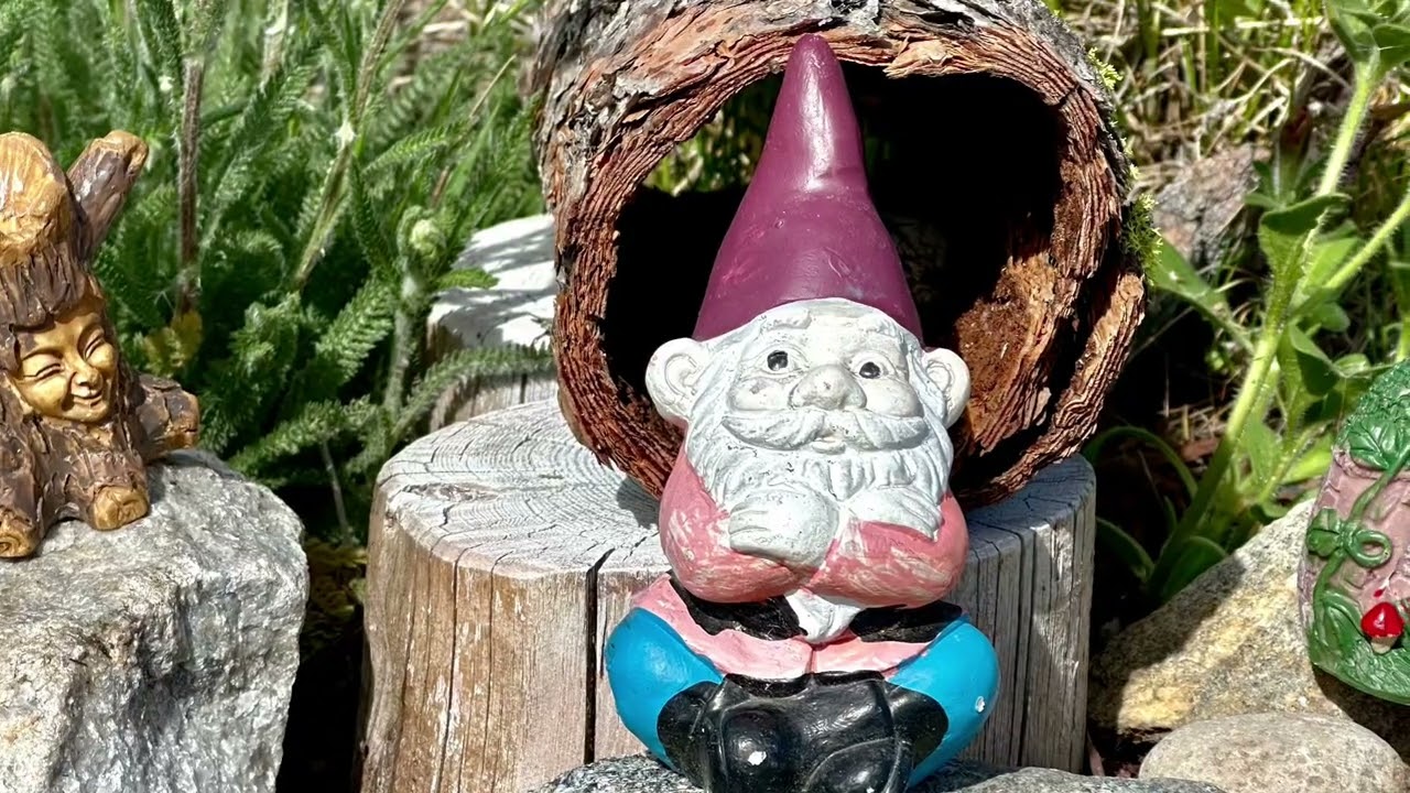 *Where I Found the Gnomes!  Nature Fairy Garden*  #fairygardenthursday