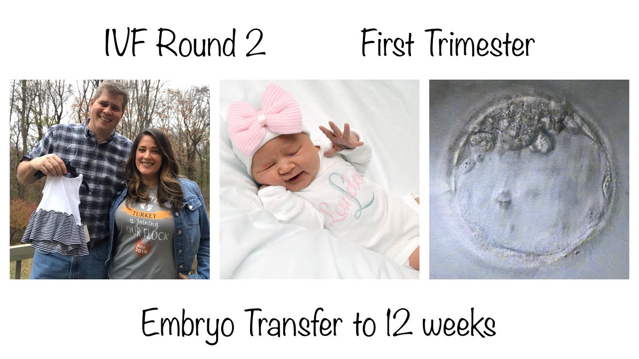 First Trimester | IVF Success | Round 2