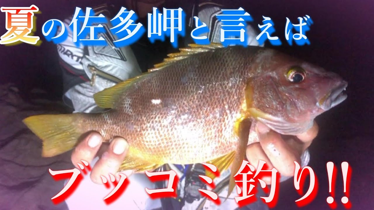 【ブッコミ釣り】佐多岬の磯からブッコミ釣り‼諦めずに狙っていたら高級魚シブダイがついに現れた‼