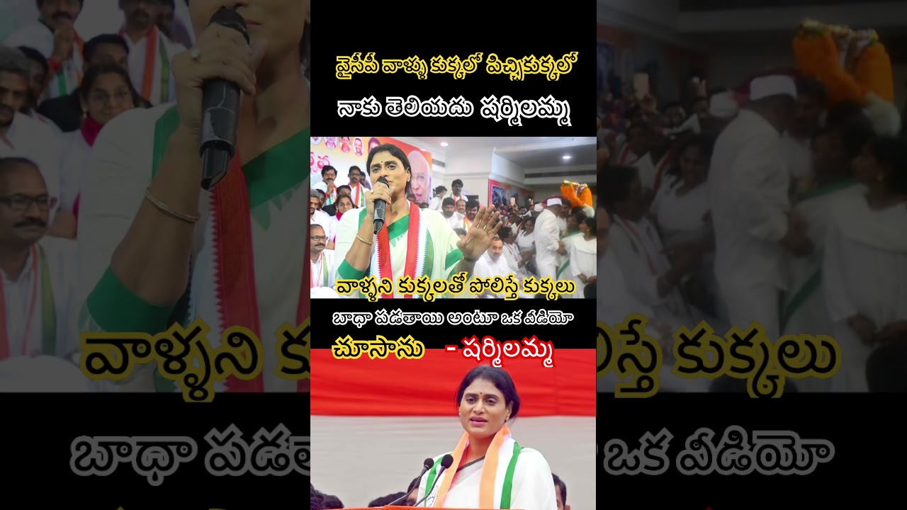 YS Sharmila's Brutal Response to YSRCP TrollsGoes Viral#shortsfeed