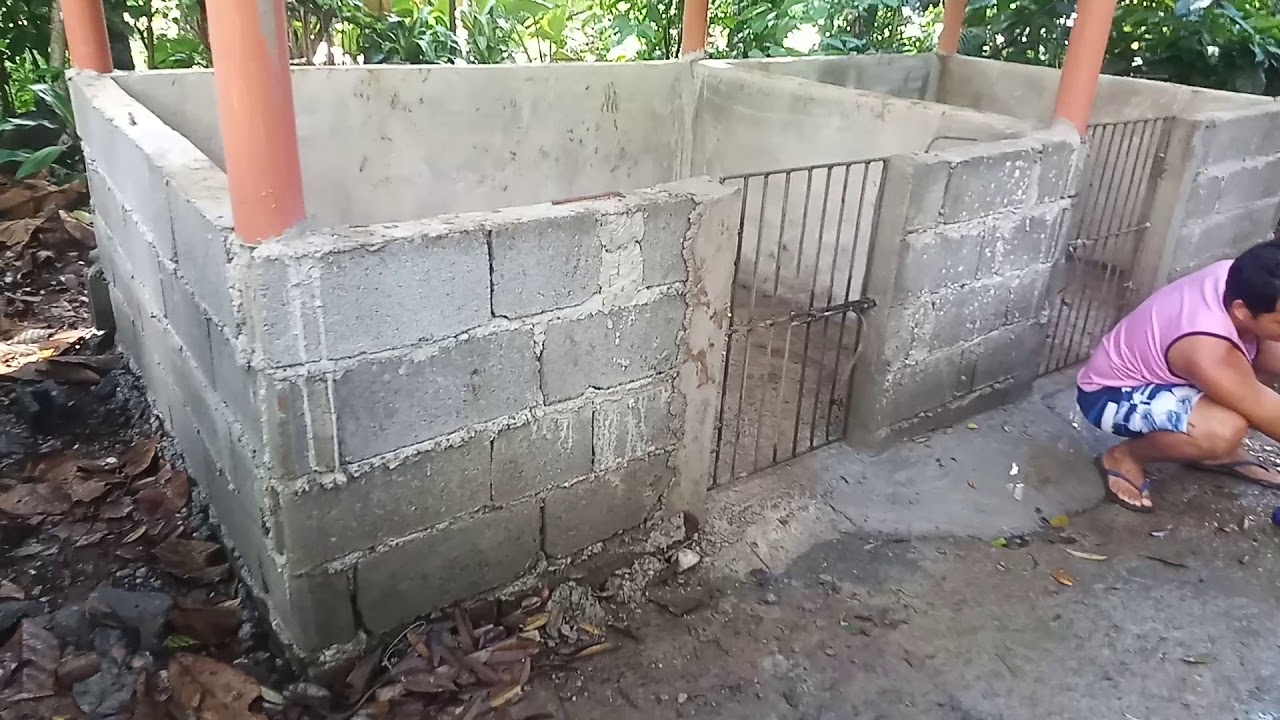 SMALL BACKYARD PIGGERY