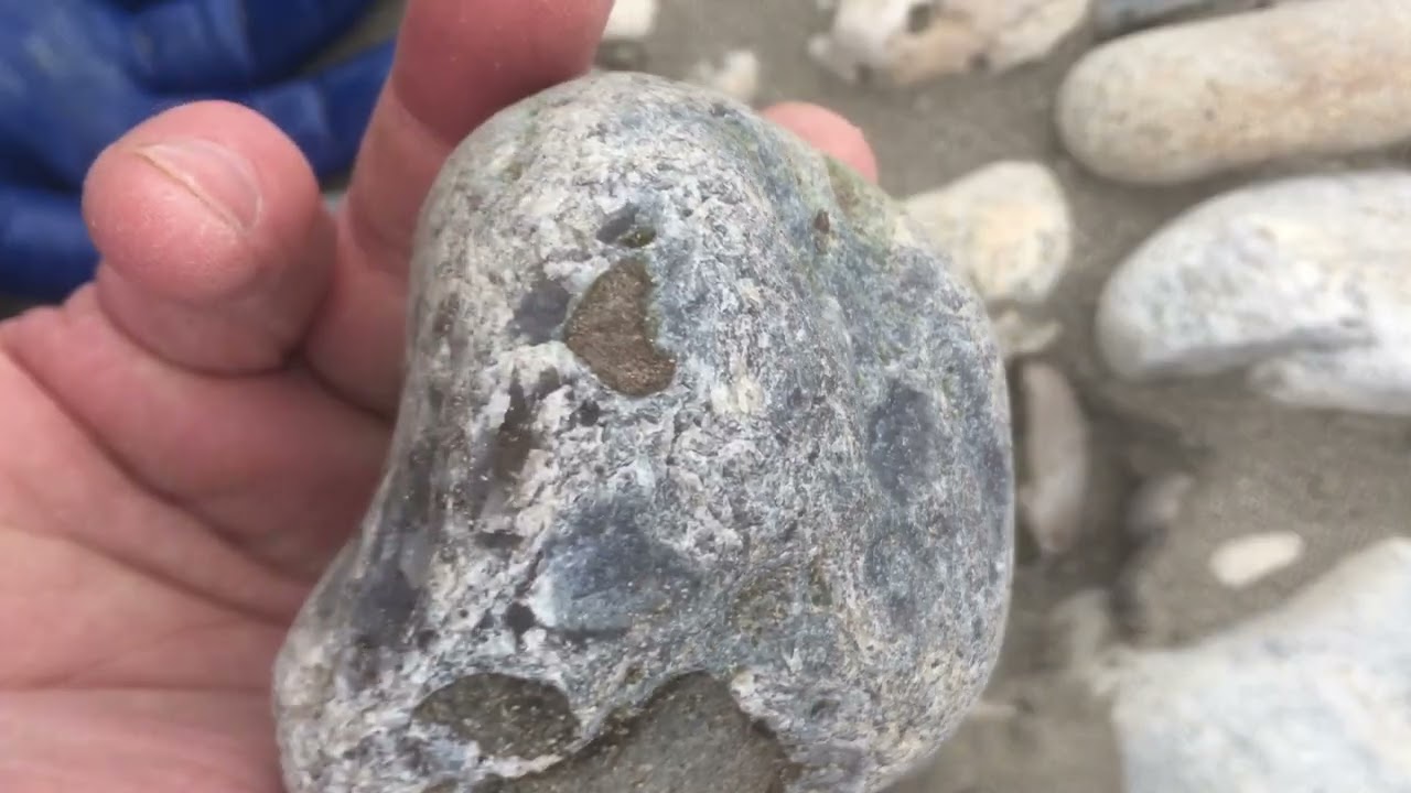 Agates and petrified wood found at the Yellowstone River (ep 22) #crystals #geology #rockhounding