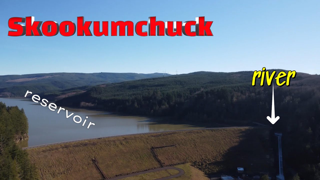 Aerial view Skookumchuck Reservoir/River