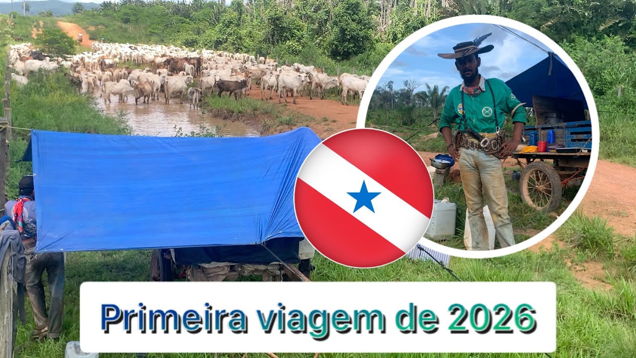 Primeira viagem do ano🫡🇧🇷