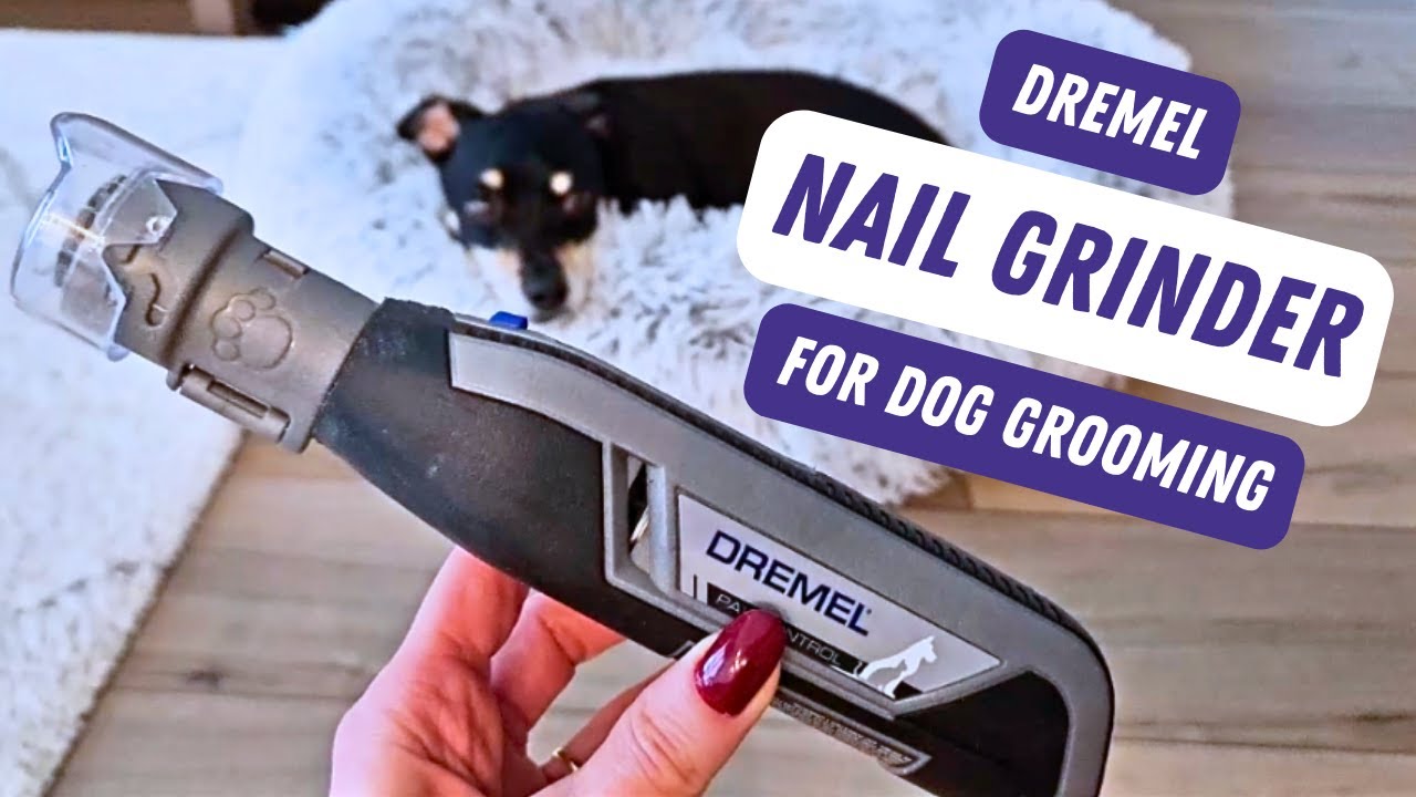 I wish I had known this before I bought the Dremel Nail Grinder for my Dog