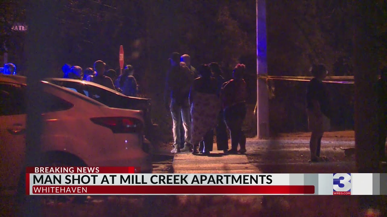 One critically injured after Whitehaven shooting: MPD
