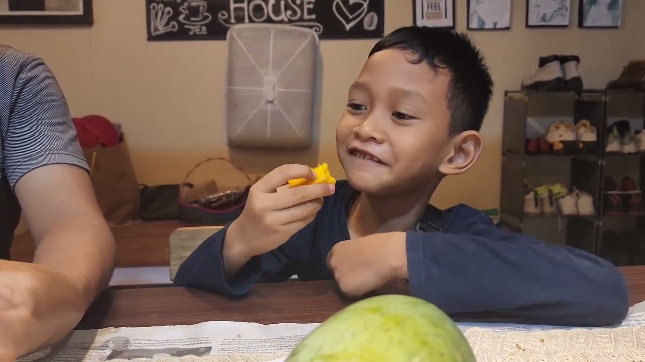 Panen perdana mangga manalagi situbondo dan incipi rasanya