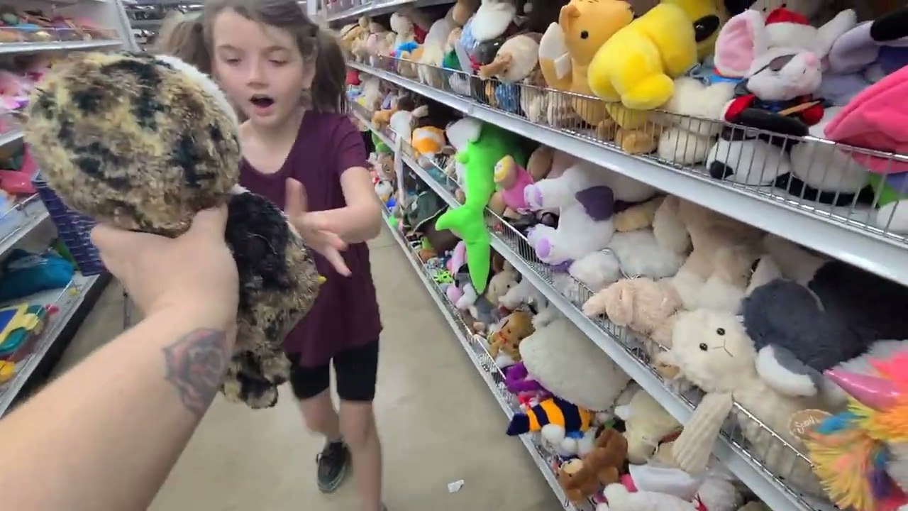 Let's go find some beanie boos