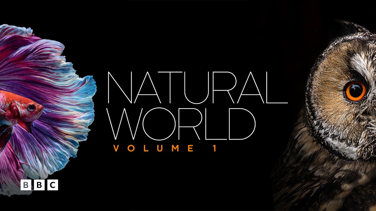 Natural World Volume 1 | BBC Select