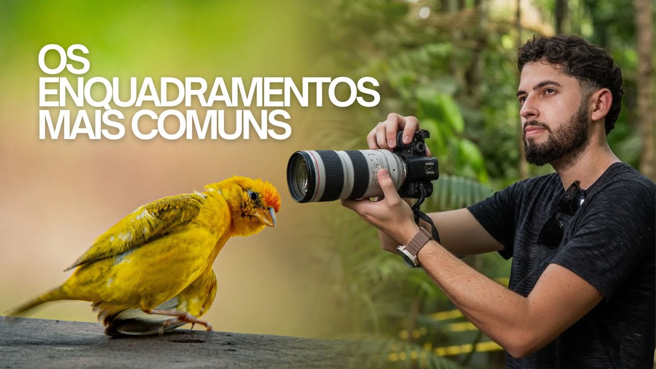 Os Enquadramentos Mais Comuns