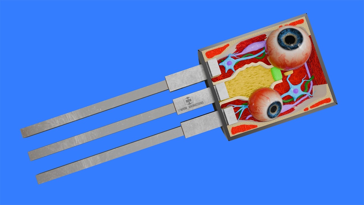 How a Transistor works