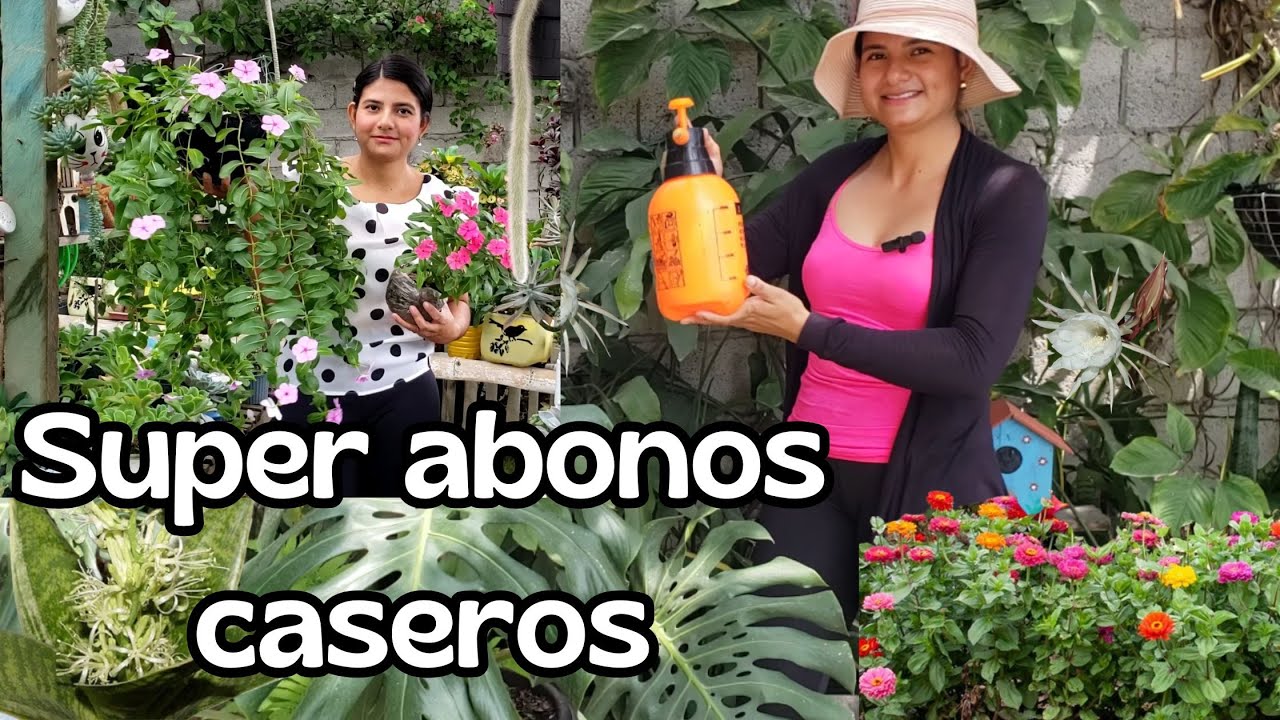 2 SUPER abonos caseros/ FACILES de preparar