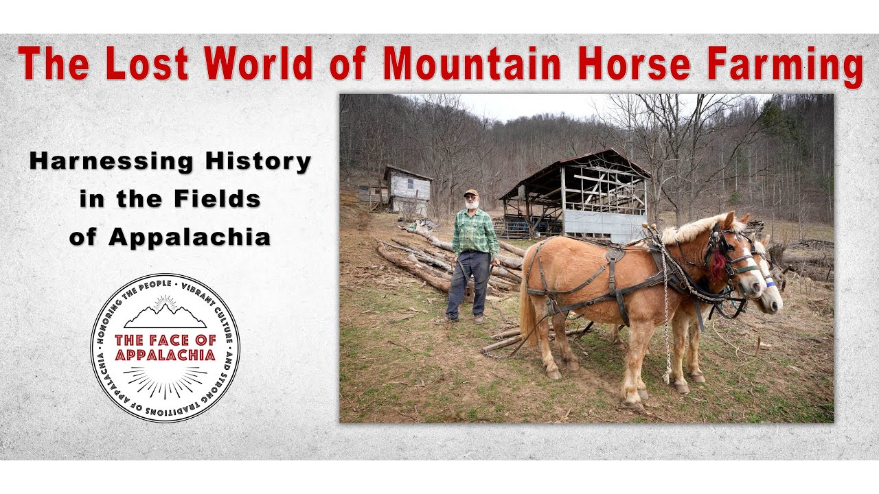The Lost World of Mountain Horse Farming: Harnessing History in the Fields of Appalachia. FOA Ep. 35
