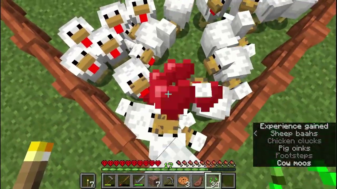 Minecraft Hardcore Ep 23