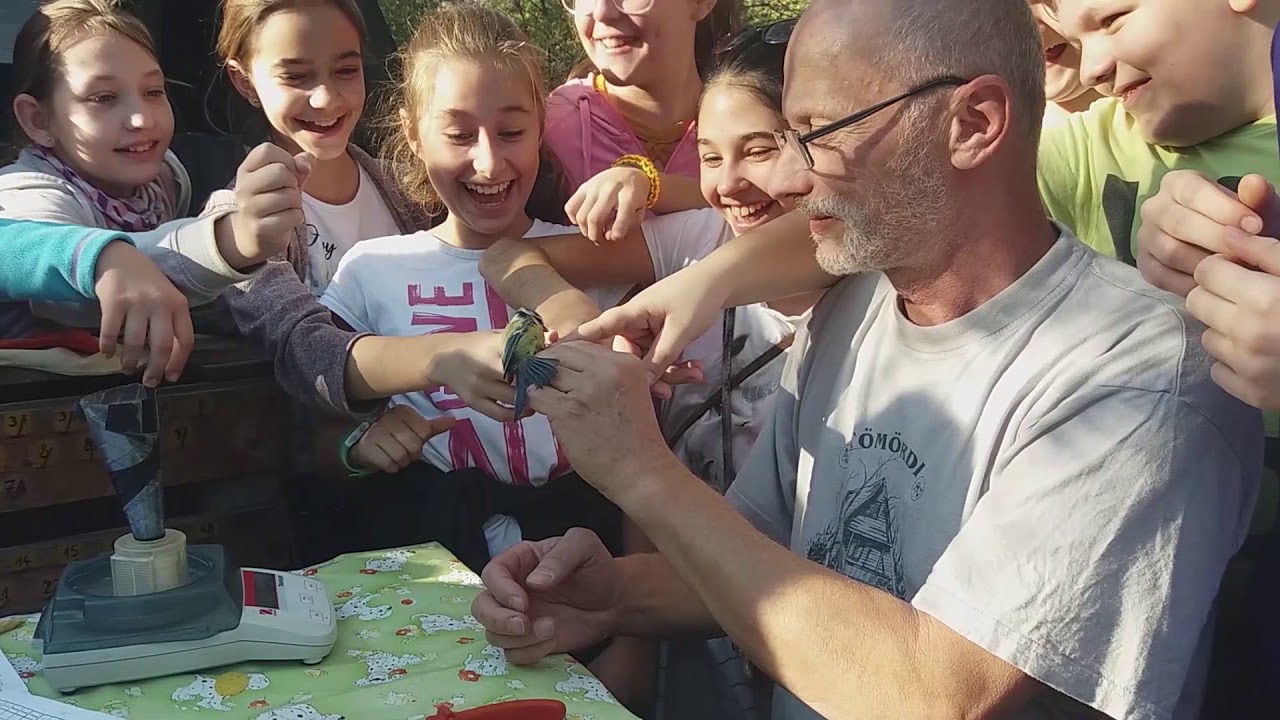 Dr. Csepregi Horváth János Általános Iskola