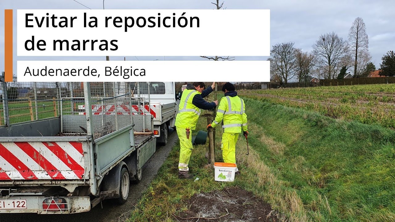 Evitar la reposición de marras - Audenaerde, Bélgica