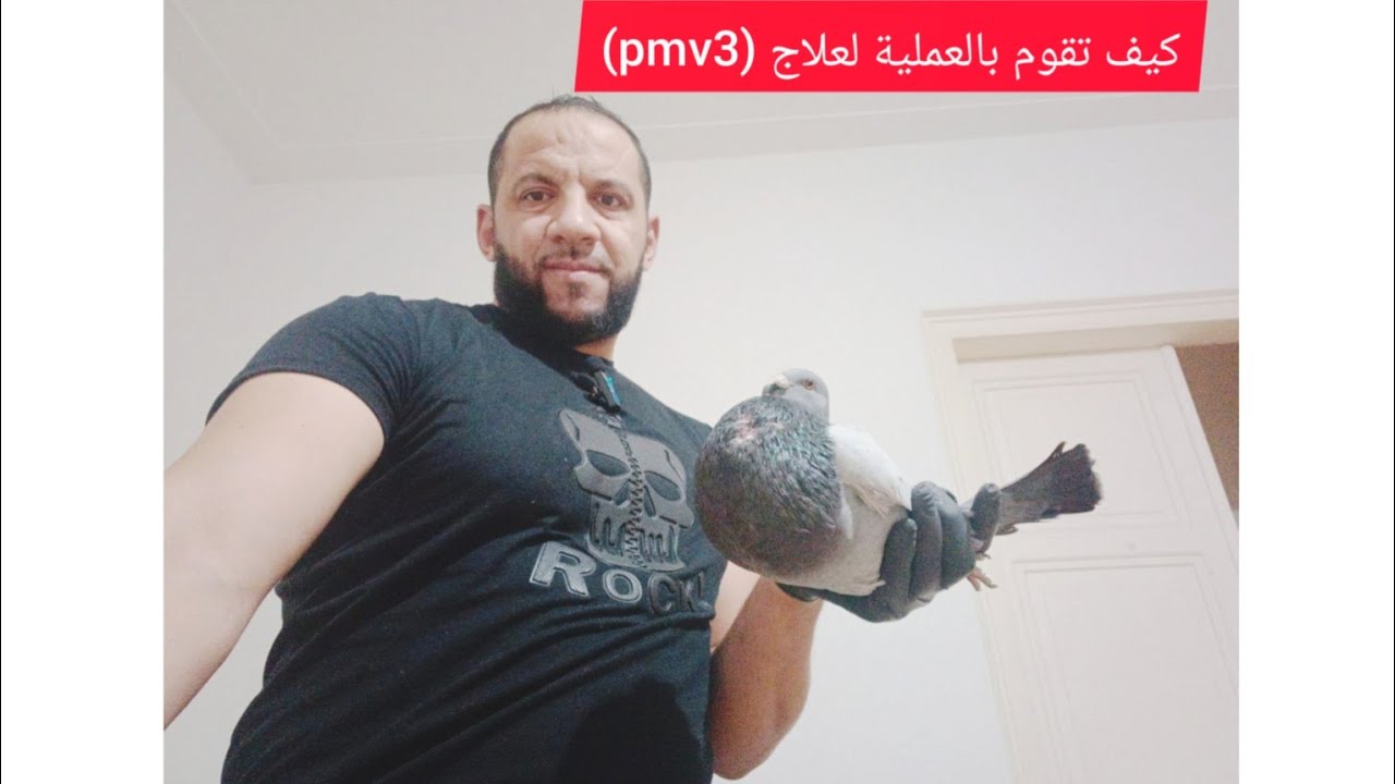 كيف تقوم بعملية ناجحة لعلاج امتلاء الحوصلة بالهواء(pmv3) 2022