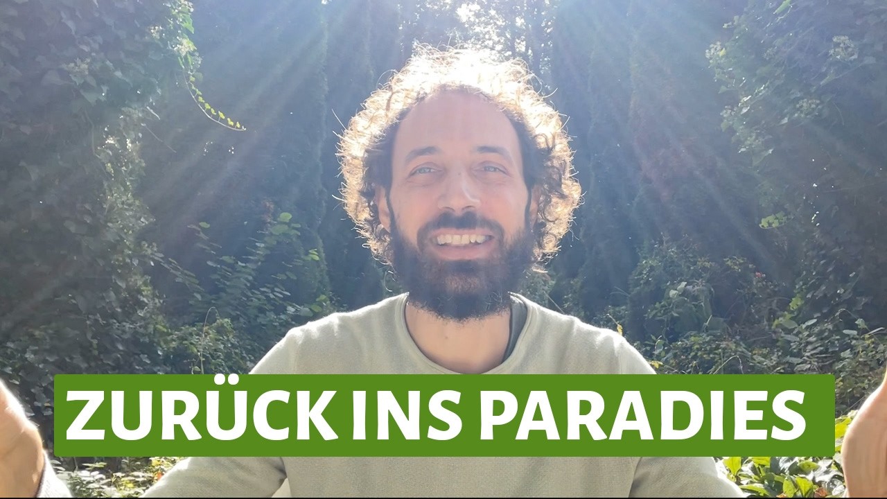 Die Lösung liegt in Dir: Dein Weg zurück zur inneren Freude und Ruhe
