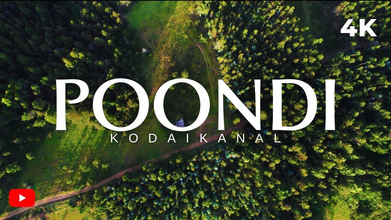 മാജിക്  മഷ്‌റൂമിന്റെ  പൂണ്ടി -POONDI Best Places | Kodaikanal | Cinematic Travel Film
