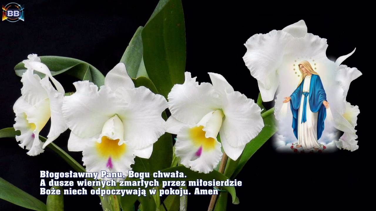 Godzinki o Niepokalanym Poczęciu NMP.