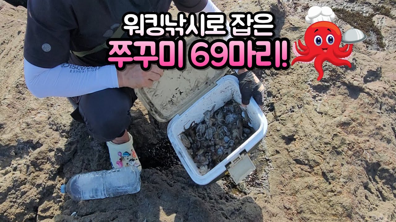 쭈꾸미 워킹낚시 #쭈꾸미낚시 #생활낚시 #두족류낚시 #워킹낚시