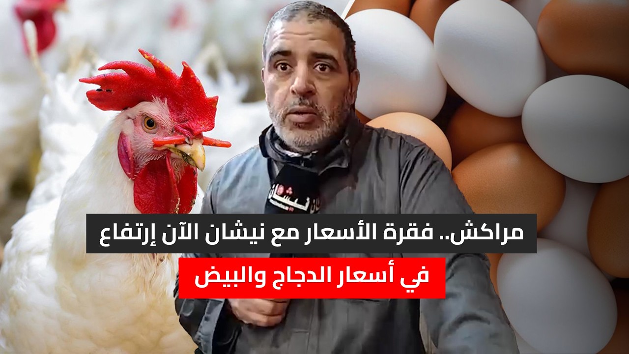 مراكش.. فقرة الأسعار مع نيشان الآن إرتفاع في أسعار الدجاج والبيض