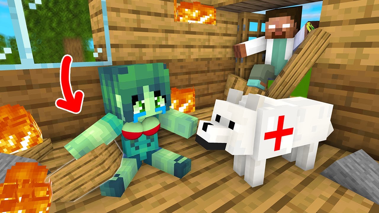 Doctor Dog Rescues Zombie Girl - Minecraft Animation