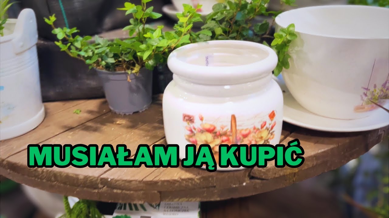 Nie mogłam jej tam zostawić... Nowości w Mrówce i mój nowy nabytek! 🌿