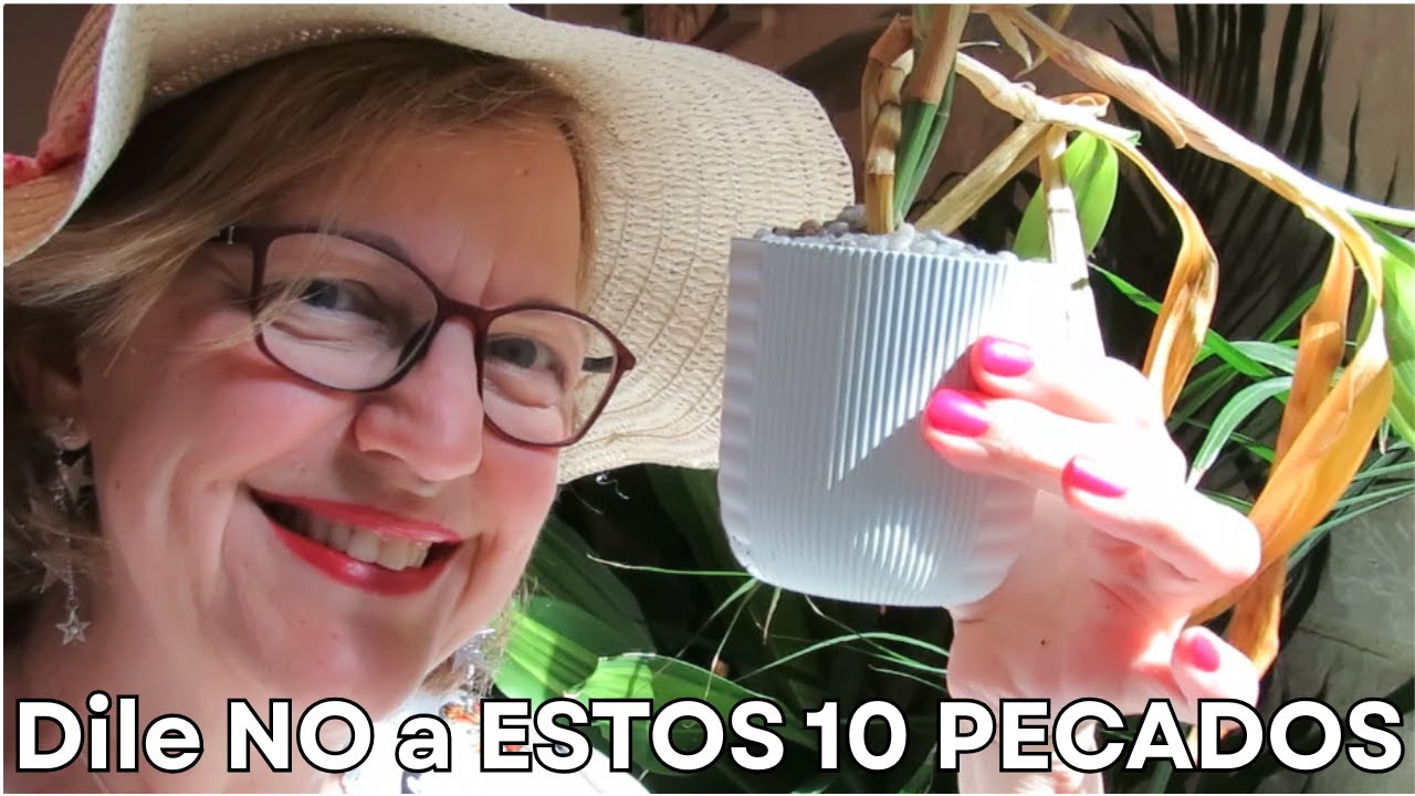 Cuáles son las 10 cosas que debes evitar para que tus plantas no mueran y se mantengan verdes #533