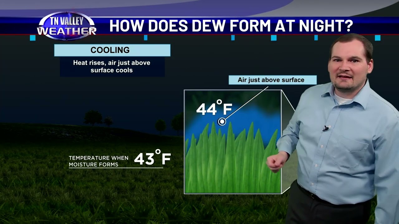 Weather Classroom - Dew Formation