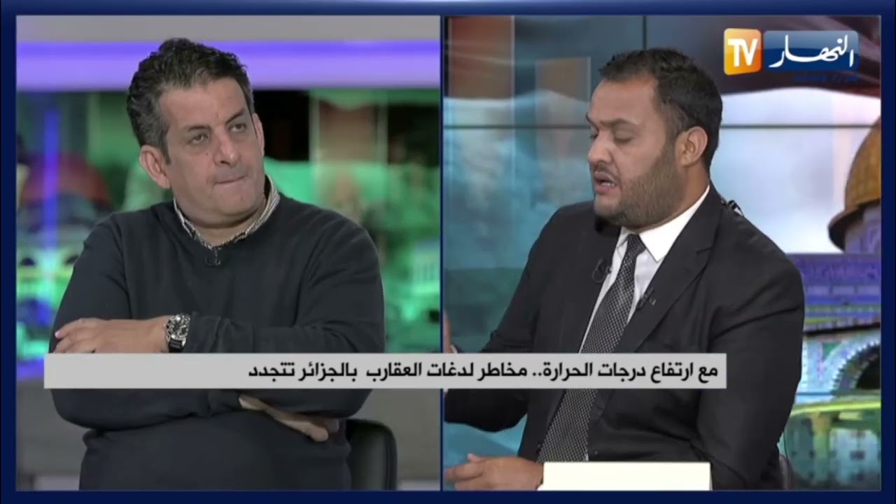 لدغات العقارب القاتلة..هذه هي أبرز الإسعافات الأولية للتعامل معها