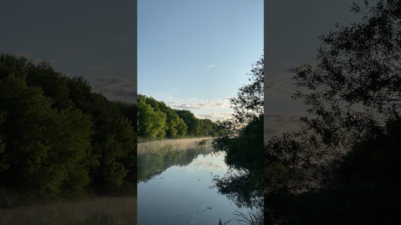 Річка прокидається в тумані&hellip;#nature #morningvibes #sunrise #calmmorning #світанок #shorts