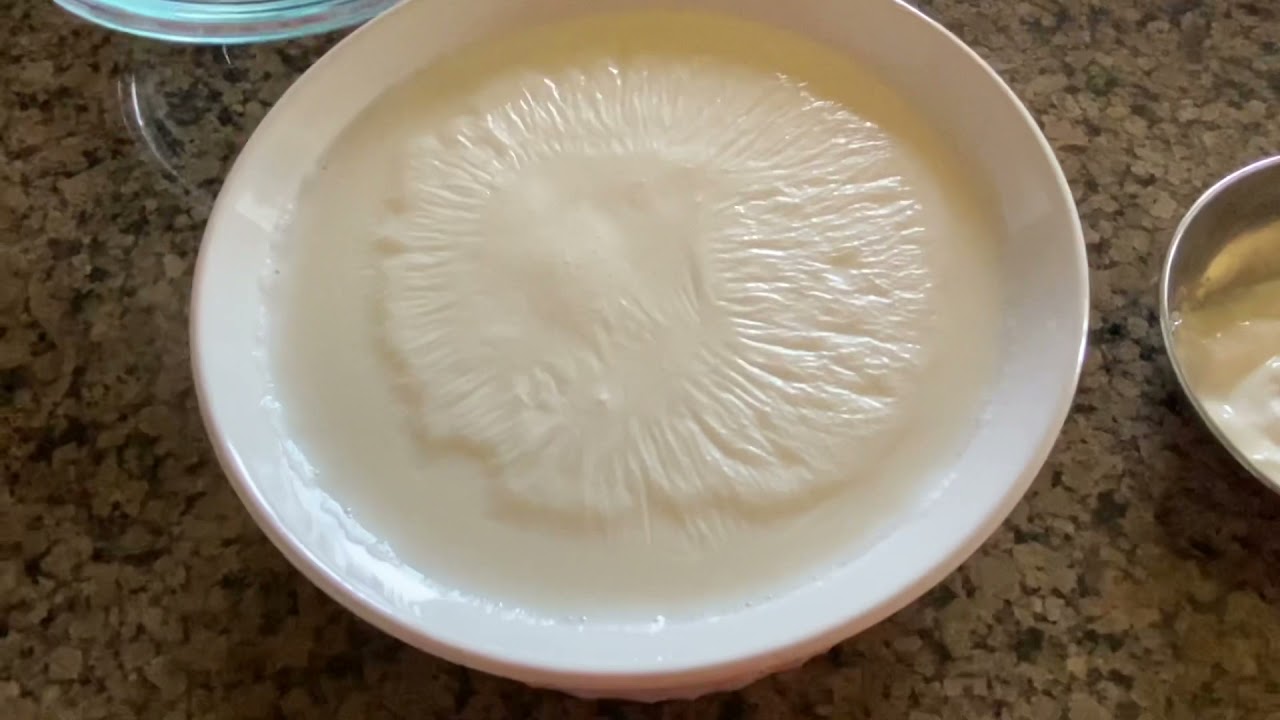 How to make yogurt in microwave