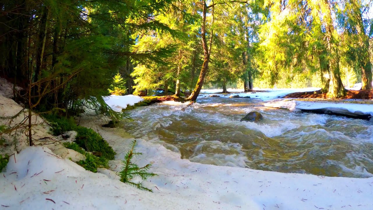 Early Spring Ambience, Nature Awakening, Relaxing Music and Nature Sounds