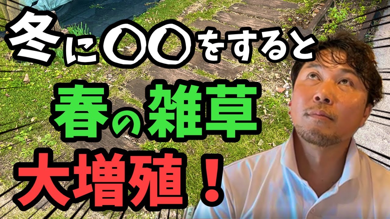 【雑草が春に倍増する!?】 冬の見落としがちな原因3選