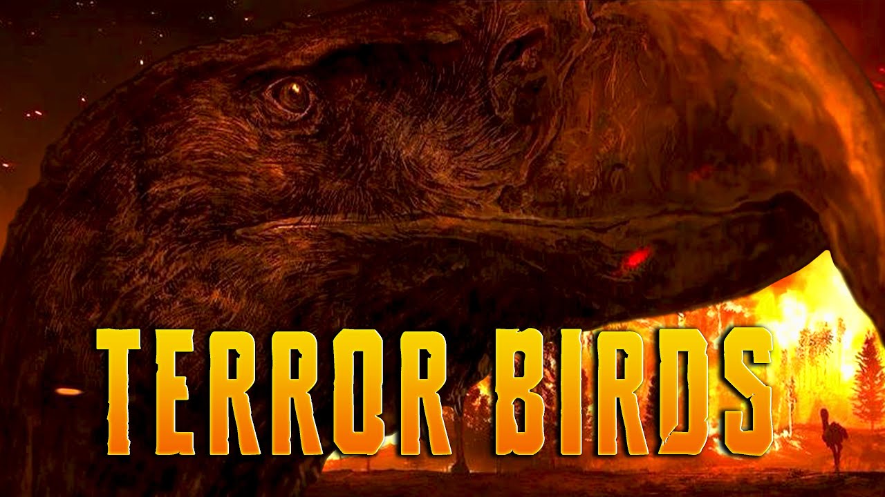 Terror Birds: Lords of the Post-Dinosaur World | #terrorbird #dinosaur #mammals #birds #reels #reel