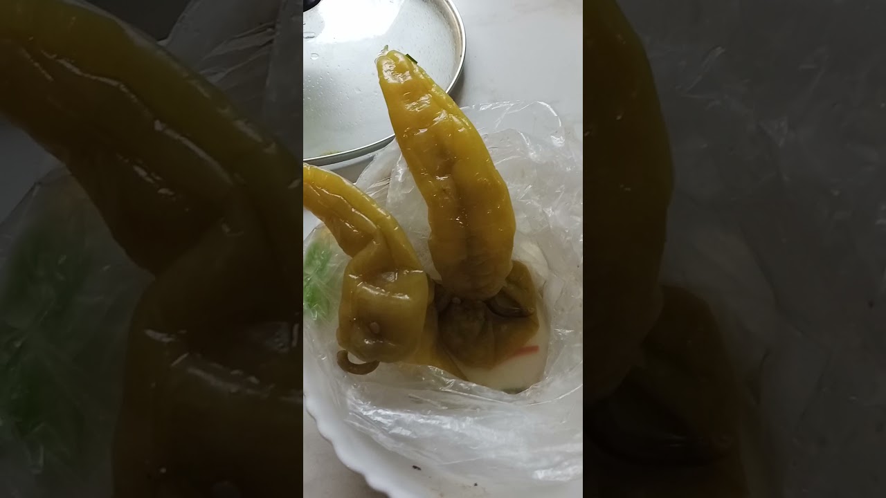 КОМРОНБОЙ КАЙНАТМА ШУРПА ТАЙОРЛШ ЖАРАЕОНИ #КАЙНАТМА ШУРПА СУП 🍲#СУП