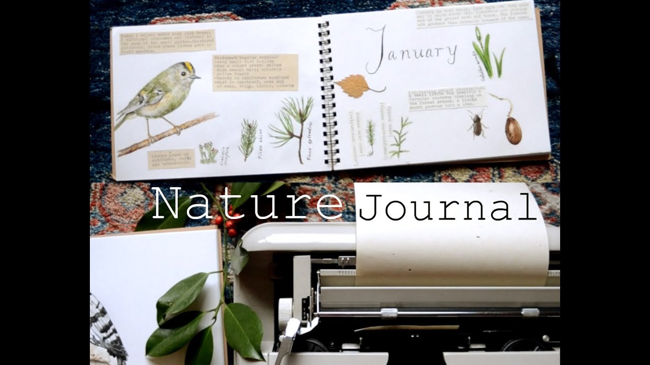 Nature Journal [DECEMBER • JANUARY]