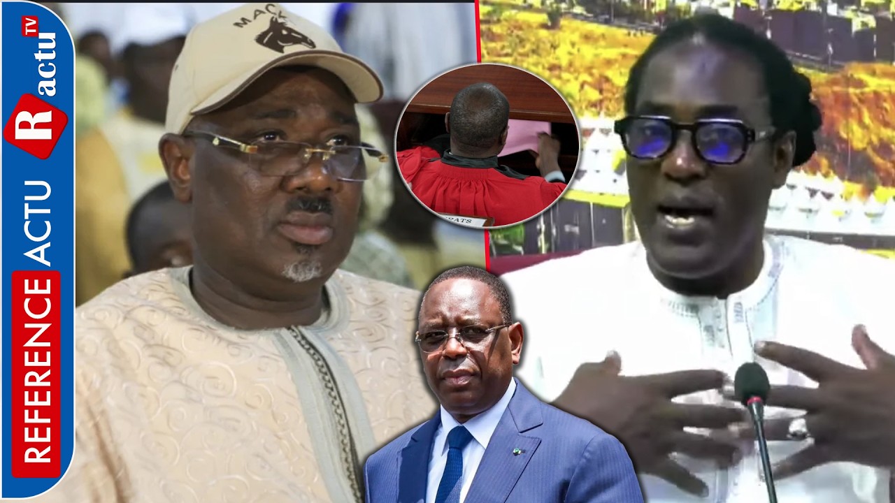 Farba Ngom libéré par la chambre d’accusation: Réaction musclée de Mame Ngor Diazaka...