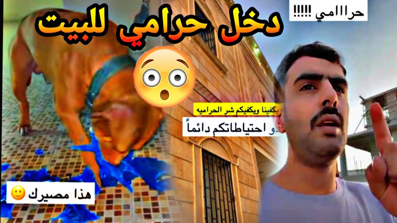 #محمد_مراد_سالم |دخل حرامي للبيت 😱😱