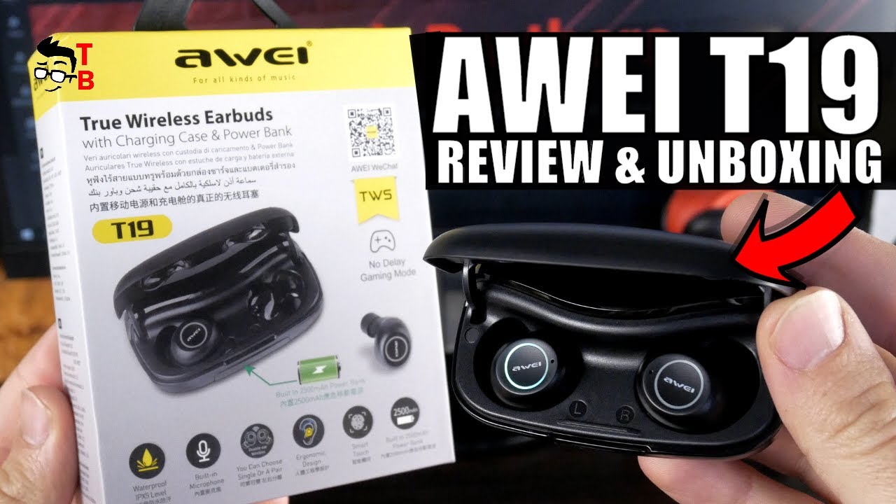 AWEI T19 REVIEW: $29 Wireless Earbuds + Power Bank