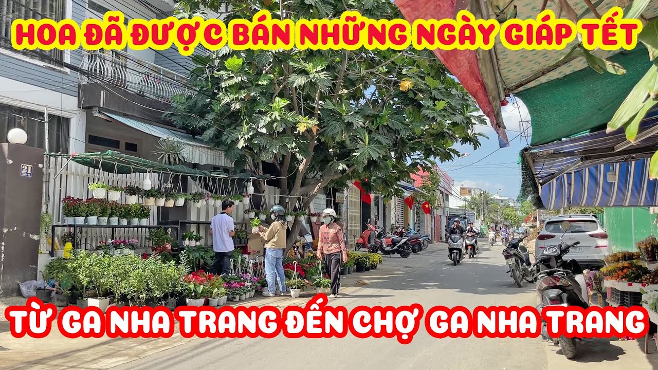 HOA TẾT ĐỦ MÀU SẮC RỘN RÀNG CUỐI NĂM - CHỢ PHƯƠNG SƠN QUA CẦU KIM BỒNG ĐẾN CHỢ GA NHA TRANG