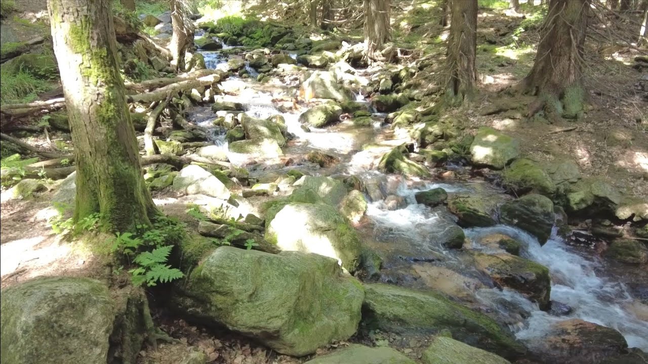 Letní tip na výlet - Jeseníky - Karlova Studánka - Praděd
